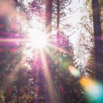 patrick-selin-391360-unsplash-e1567508619793-150x150